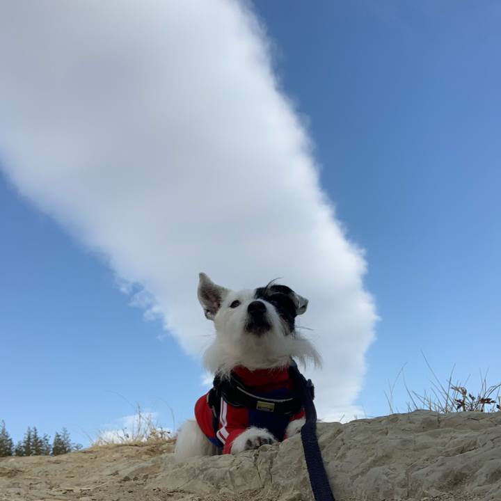 9533a3ec 75fa 4598 bc28 86dba34f0802 1740701775965