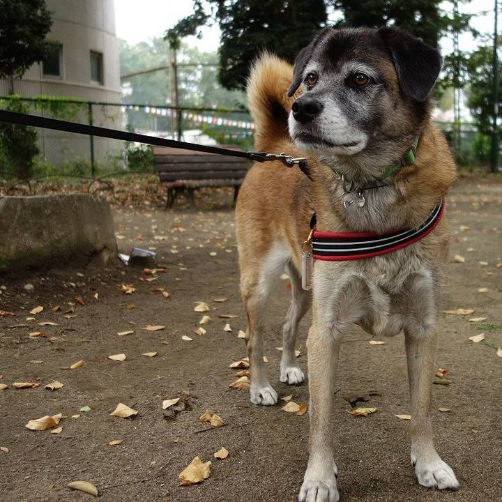 9533a7e8 d24a 45d0 b014 f8386a9de142 1509174060972