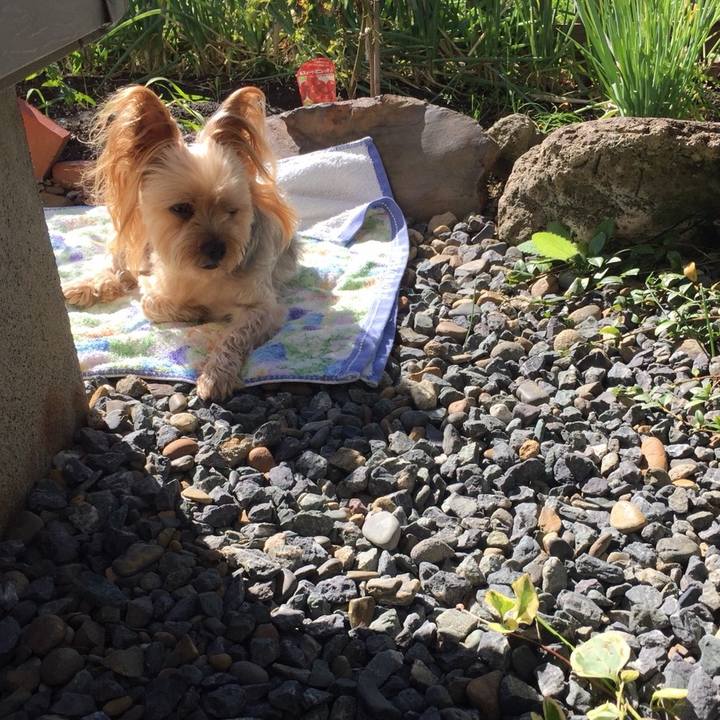 9533b9d0 4dea 42d7 aa8b a84f3c2ec3c3 1538641905669