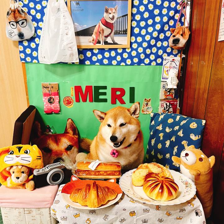 9533d1ba 7fd4 4832 868a c56be9f1c07b 1654591509096