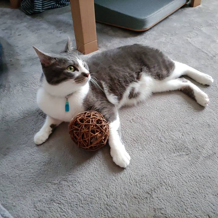 9533d2f6 7901 4930 a241 15a204b692a9 1655082000739