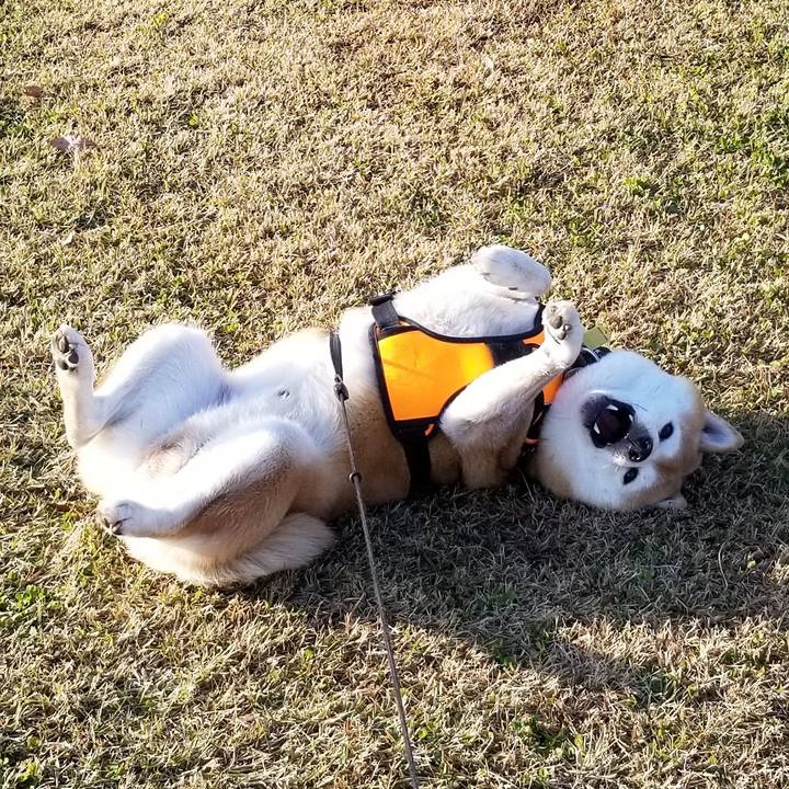 9534033e 078f 400e 8f47 d66b0f53724f 1605607990299