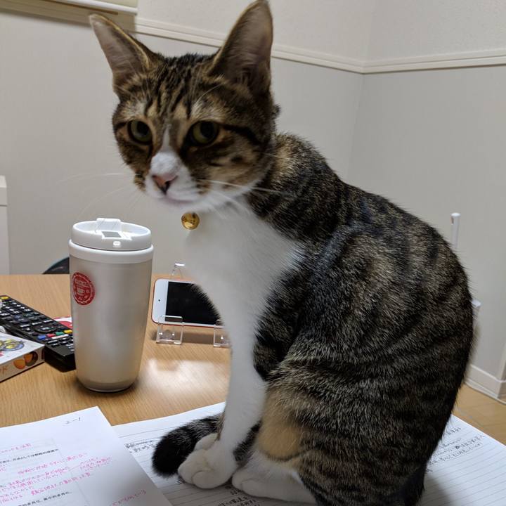 9534e9b8 0614 490f be26 7491cef0ddb3 1544277258276