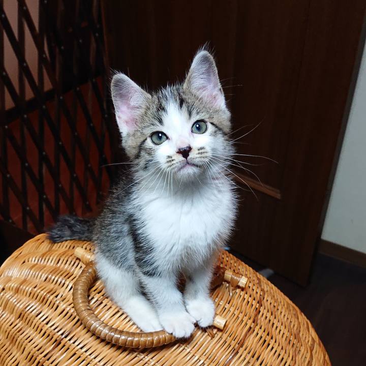 95354074 7e35 4070 a312 e883e77eb40d 1539826882958