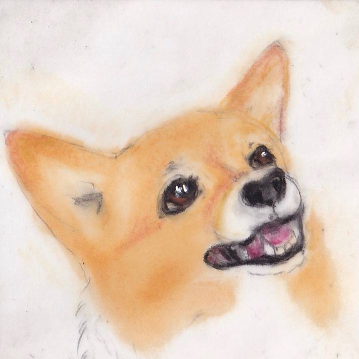 95357f47 3615 4064 9915 d6ef7751082e 1674523764434