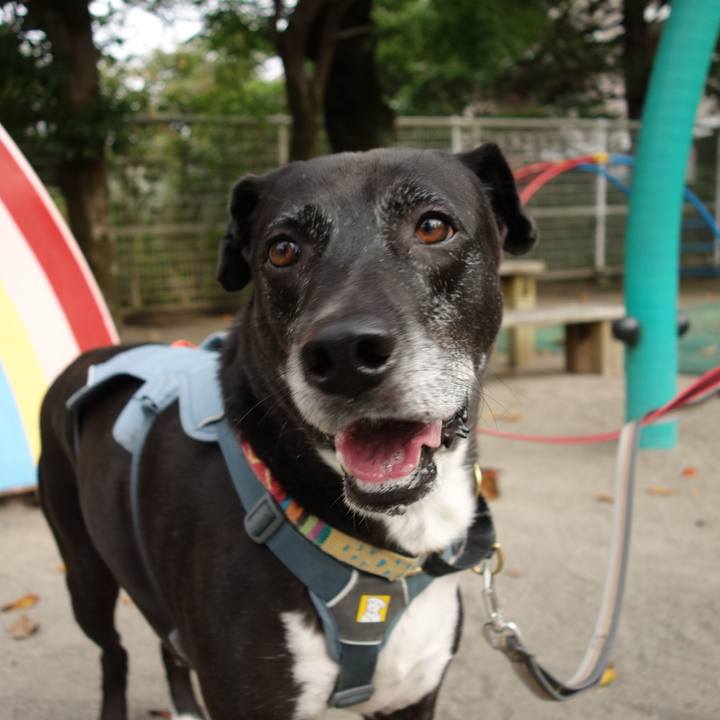 9535a65f 1b98 4625 bfc2 4020786cd040 1729992401931