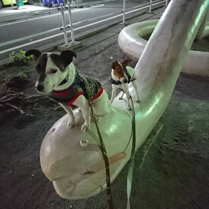 9535ab3f 30c2 4c92 af38 f34037c6a532 1523877977439