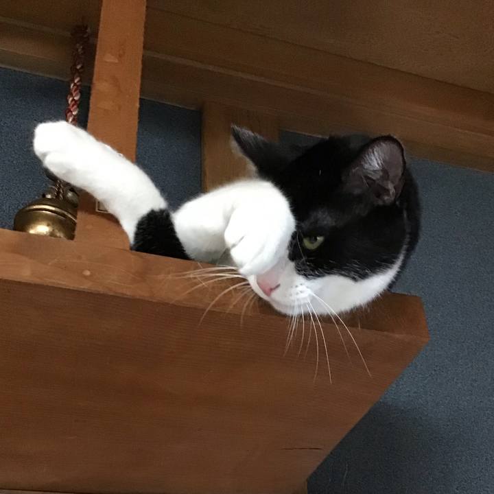 9535af90 8fe0 4ca9 8235 f0a2c9741b04 1758186622833