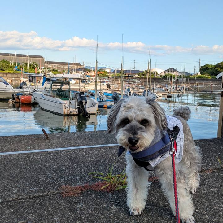 9535fd45 01bb 490c 8330 77fab3df7e59 1753232917037