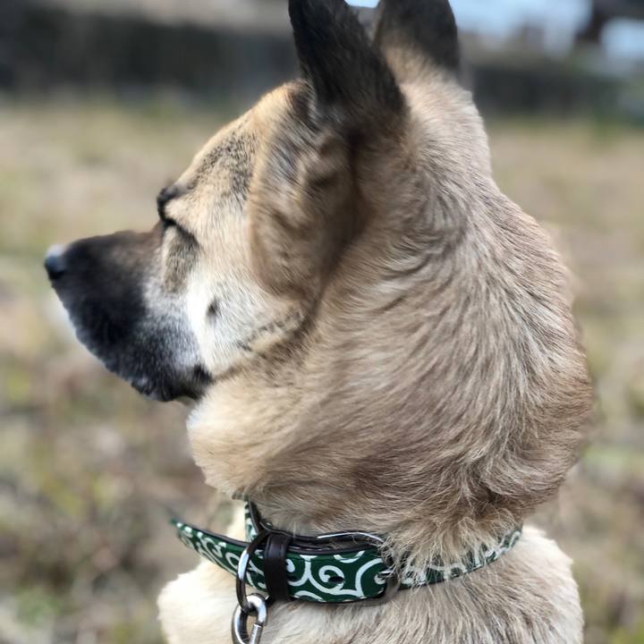 95364d81 e256 4adc a79c 3eb27e7e6a6d 1547888998466