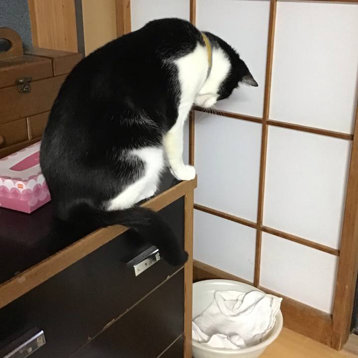 95369763 2093 4d72 9371 7bca5da95c70 1651223517974