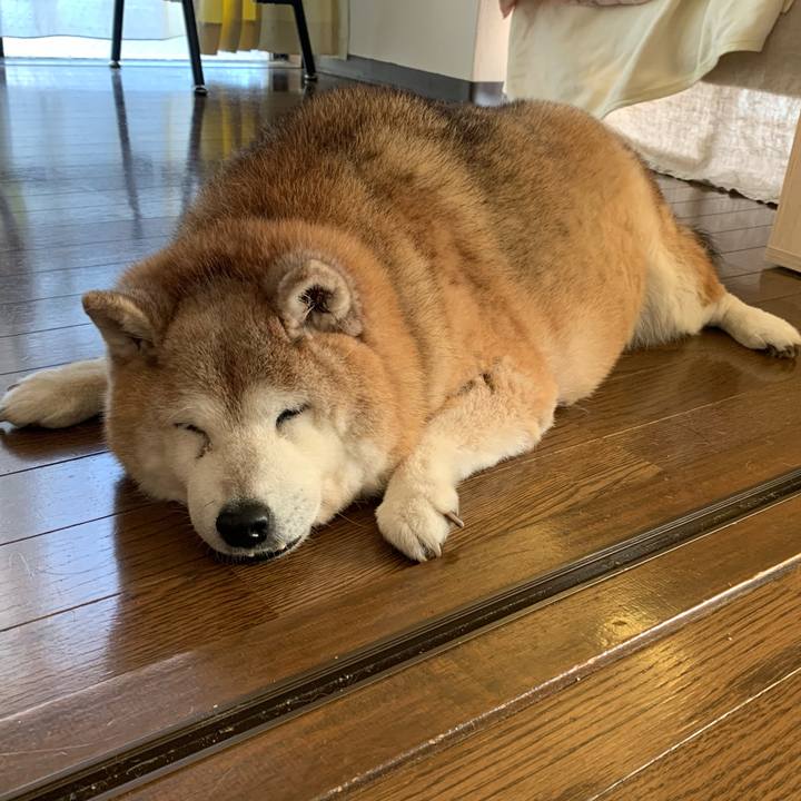 9536c7b8 d5a0 4cb8 8b79 00c34ab763b4 1653722924031