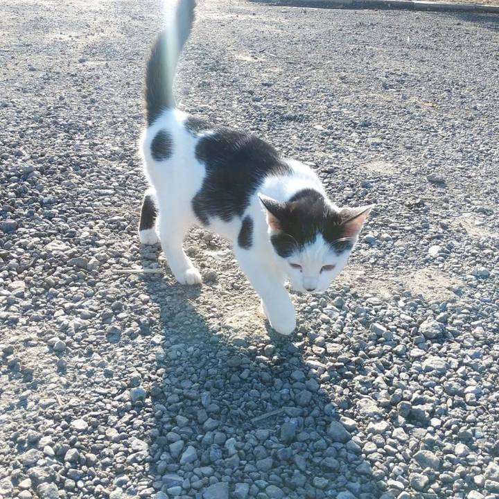 9536cbf3 a9ce 4264 a15e 5301b3d3fa4f 1573776031640