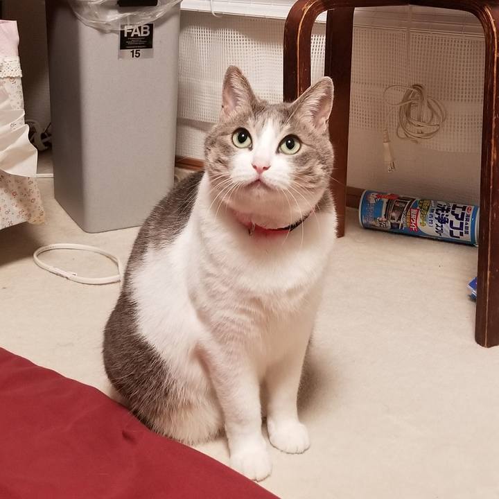 9536df06 63d4 4b61 b285 dcff835f69ec 1572006389265