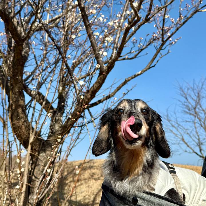 95370876 0490 4251 b3a8 71b70b0561e6 1772848175973