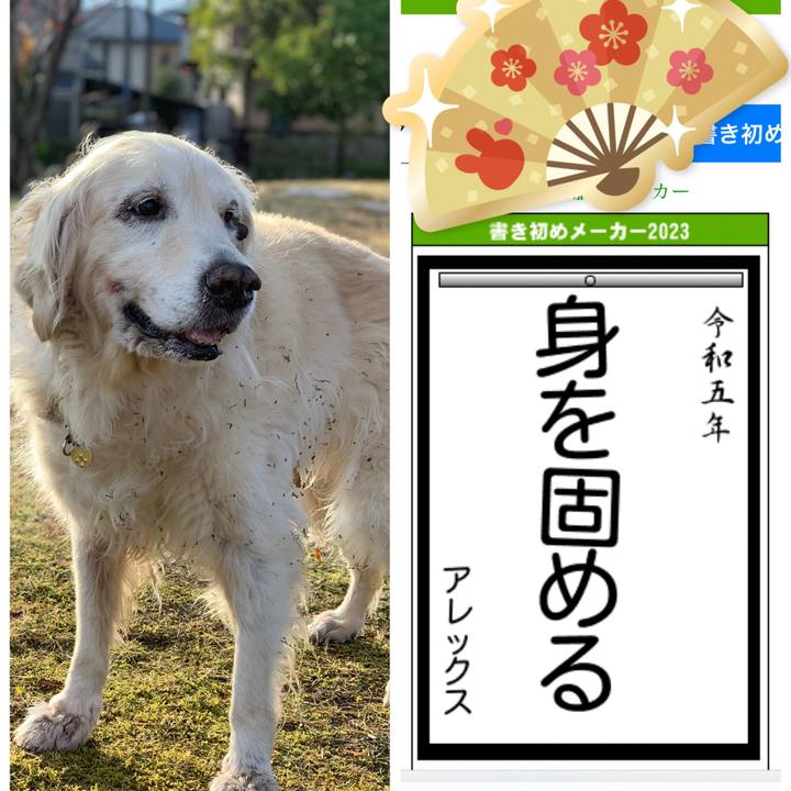 9537646f 04e4 45d7 957e 27eb1a7d96bf 1672818417605