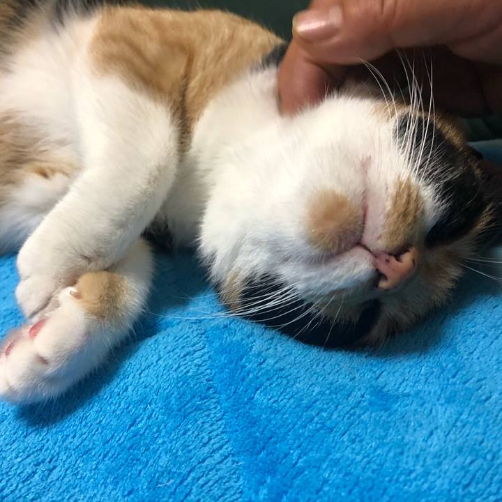 95378264 ce3c 4331 ac34 9f55c2f7efc8 1562594153209