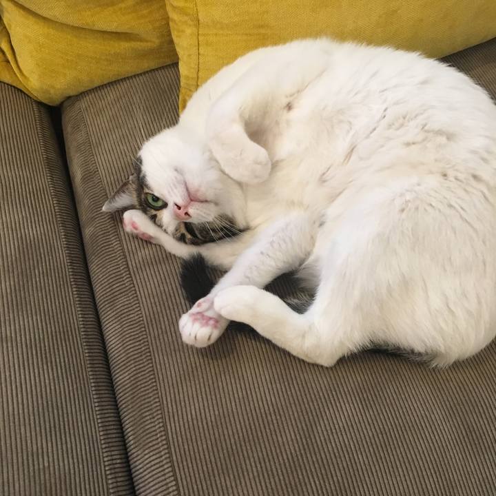 9537a5dd 7415 47a6 ad07 14794e05719c 1586993637854