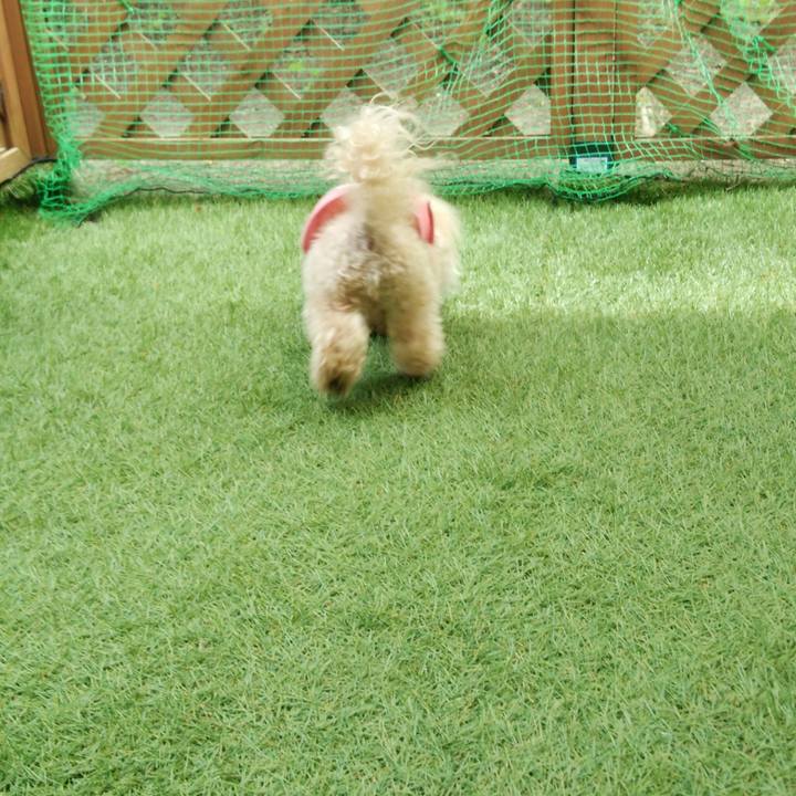 9537ce87 d0a5 42b0 bdfe 1f12f99335d4 1527856120632