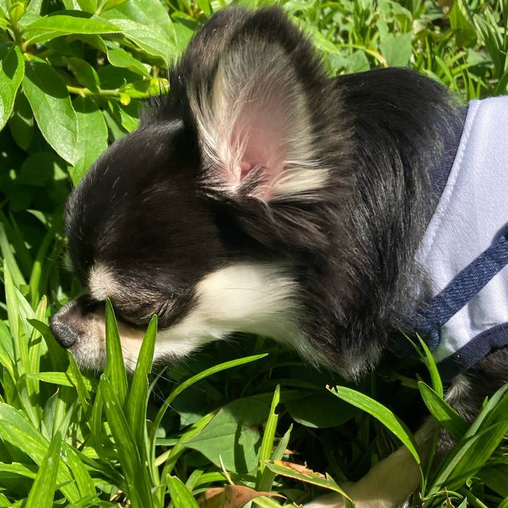 9537f855 3f12 4e23 ab46 27fc58cbee48 1619844115906