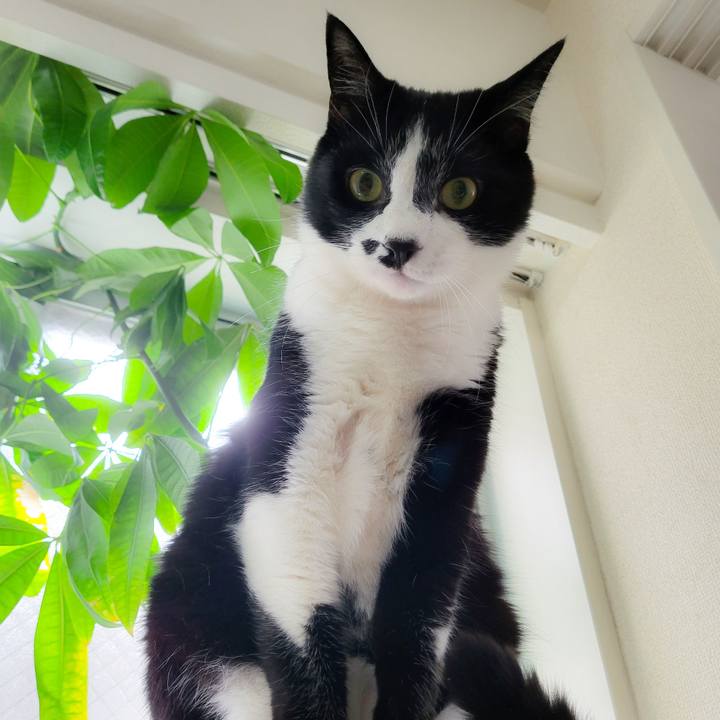 95380c59 0561 4cff b185 f18add75626f 1657708425770