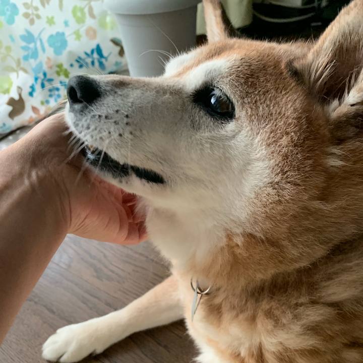 95381c01 d856 4787 9807 8be91dcbbd5c 1565490376942