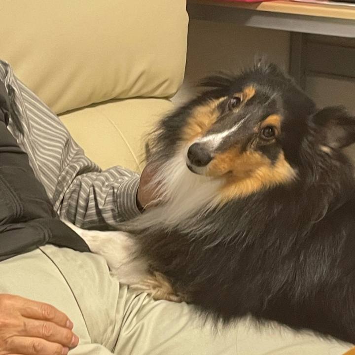 95383ec3 f89c 46fa a9fa 6ae77f30dc39 1611698503174