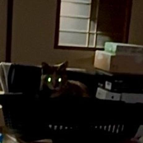 953884e9 d131 44cd 8e06 6eedac687e4b 1748892575121