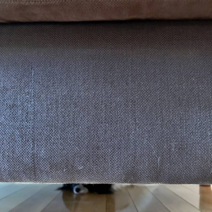 95388e46 d735 4ea9 baf4 c9889b1c01d3 1564093911869