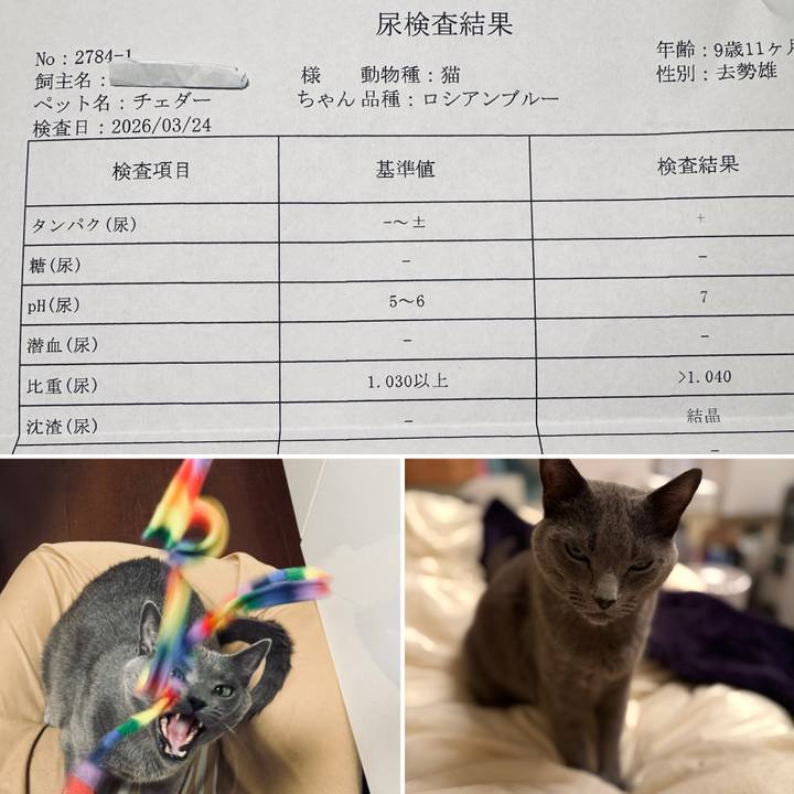 95389654 f3db 4f03 a311 2cd2cd4b4658 1774358399648