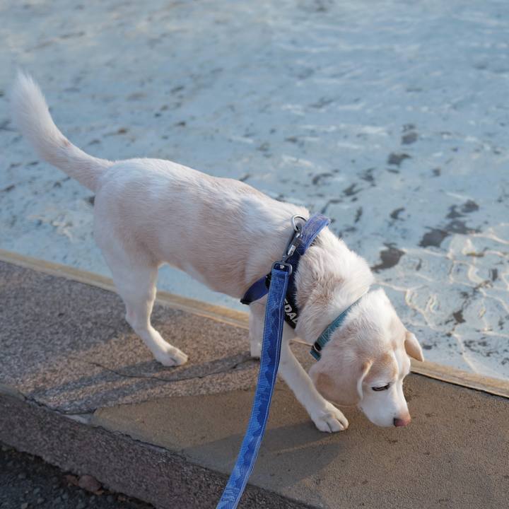 9538ac9f ad73 4e8d 8bd0 c4c889497f82 1772962075653