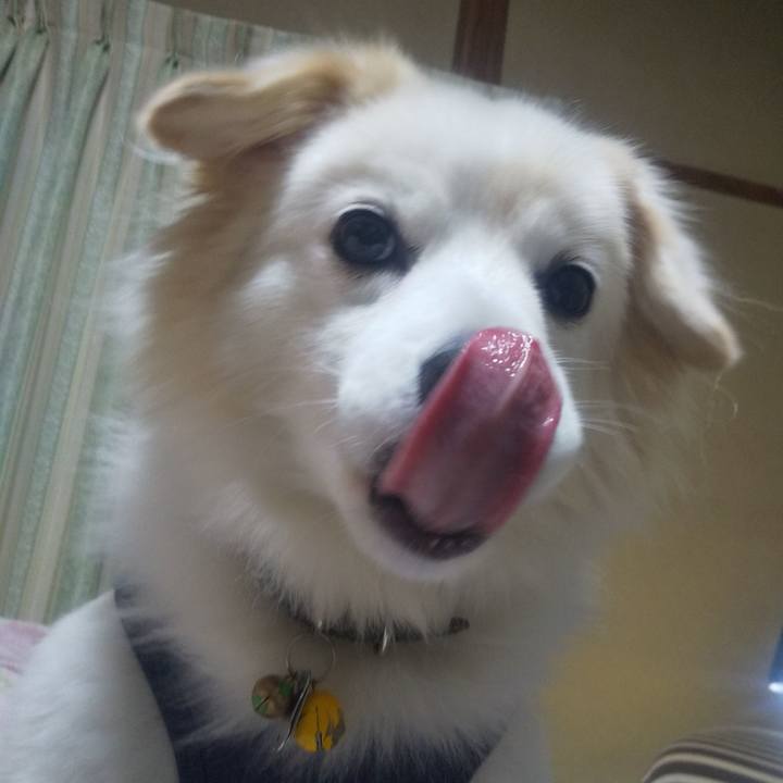 9538dc60 f621 42f0 8cd7 072723db67b9 1639452883904