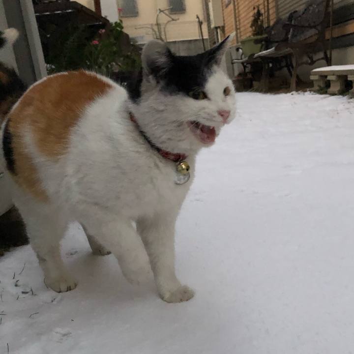 9538dfcb ff1b 4e26 be15 664b6cdba7eb 1610165999850