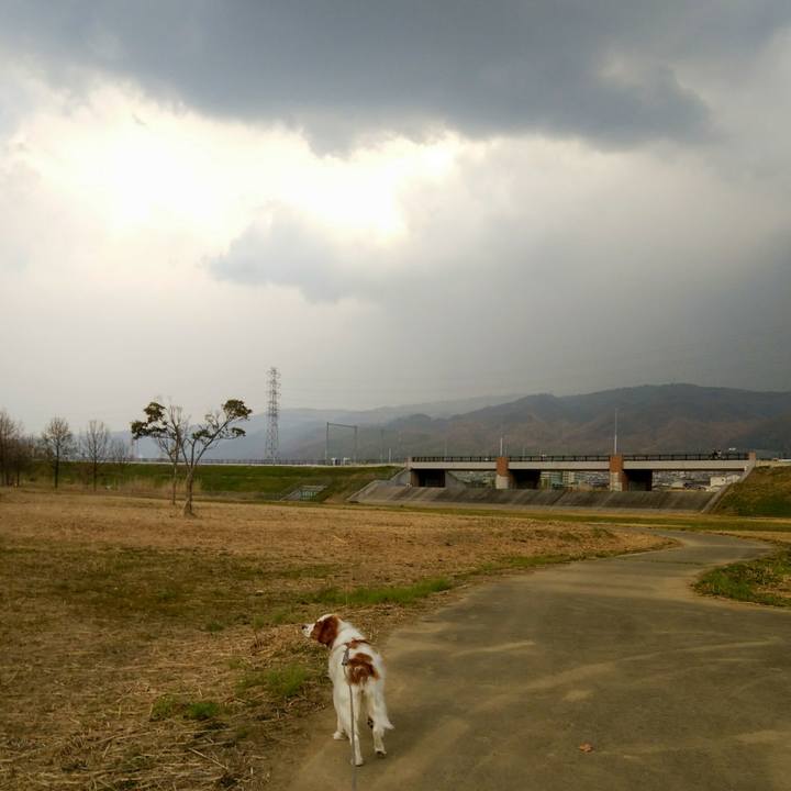 95392623 7232 4508 86ee 2e3e5effb14d 1553599287516