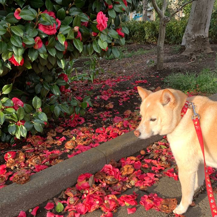 953965d1 81ff 4ddc 8022 36a21d094f31 1649198288532