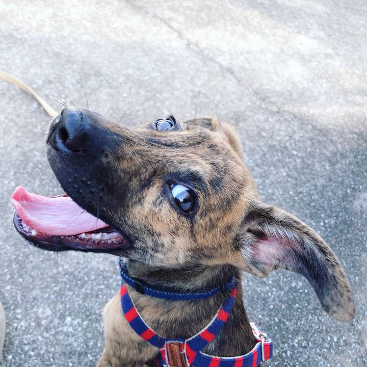 9539770f 21fa 4b0e abaf 456deceb752e 1568213289275