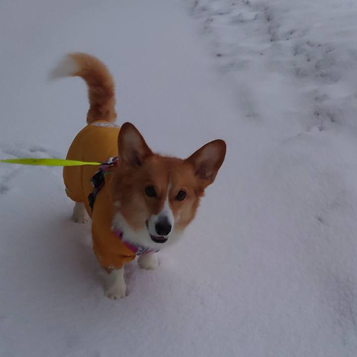 95398b40 d26d 44e3 a49e f707438dcc26 1766360754545