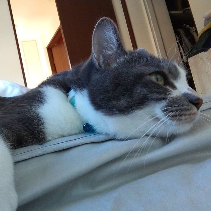 9539a454 5de6 4523 a175 4dc1ea5641ff 1633128488109