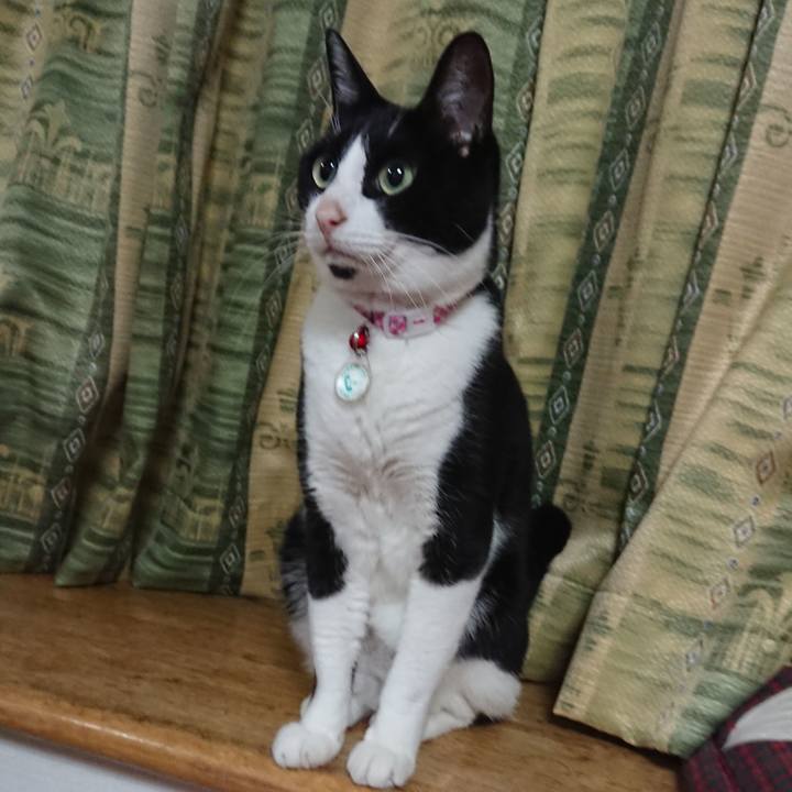 9539a931 9727 43ad ad9d 7bd9f7a65422 1613176324326