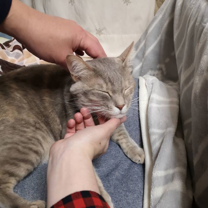 9539ea76 6a1e 4585 882f ed9a48694684 1586094066836