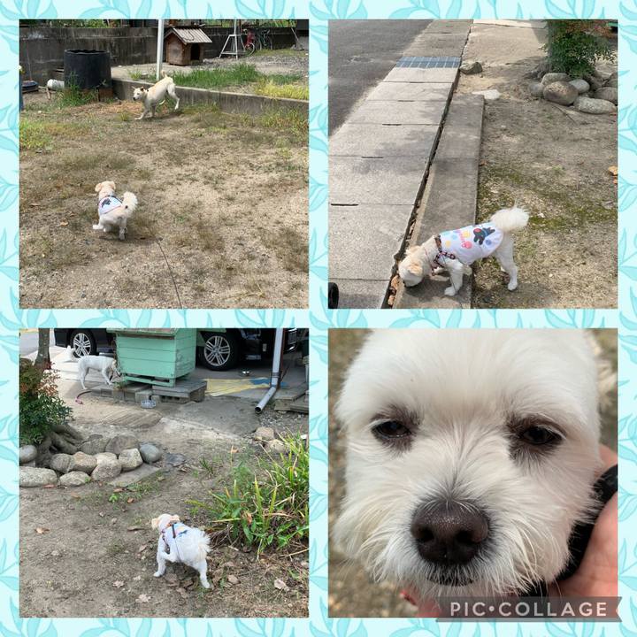 9539fdeb e178 4450 8313 1376974fb204 1630379531097