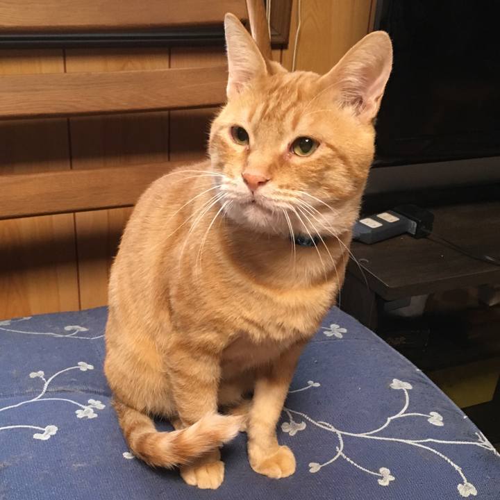 953a11fa ab6d 4571 a01a 515f9e9c8c33 1532984243808