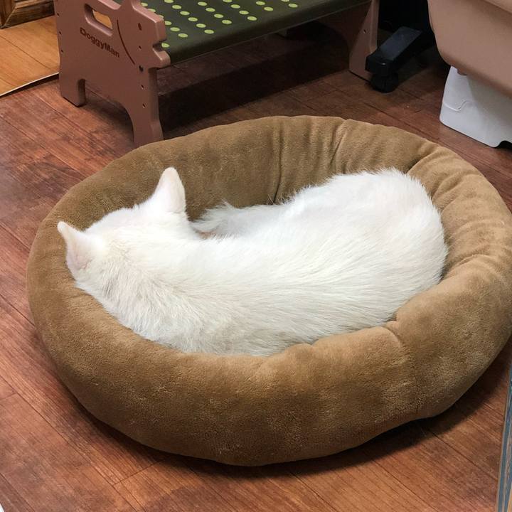 953a50a0 084f 4050 8654 f59e1e8b7de6 1696168697362