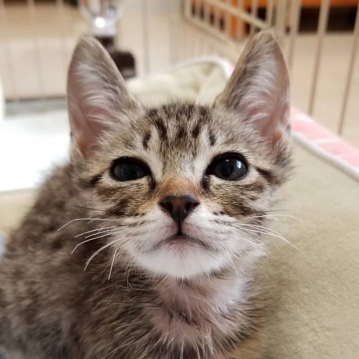 953ab1fe bc2f 4eb6 8f6e 706f3149936e 1535071839644