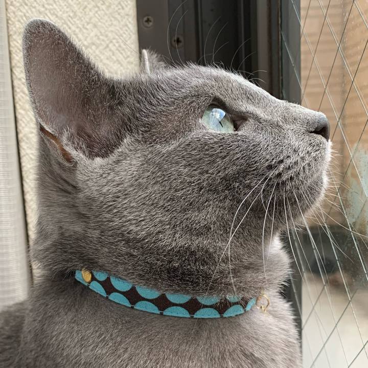 953ad33e 2635 404a b50e 4514e0806049 1577229548291