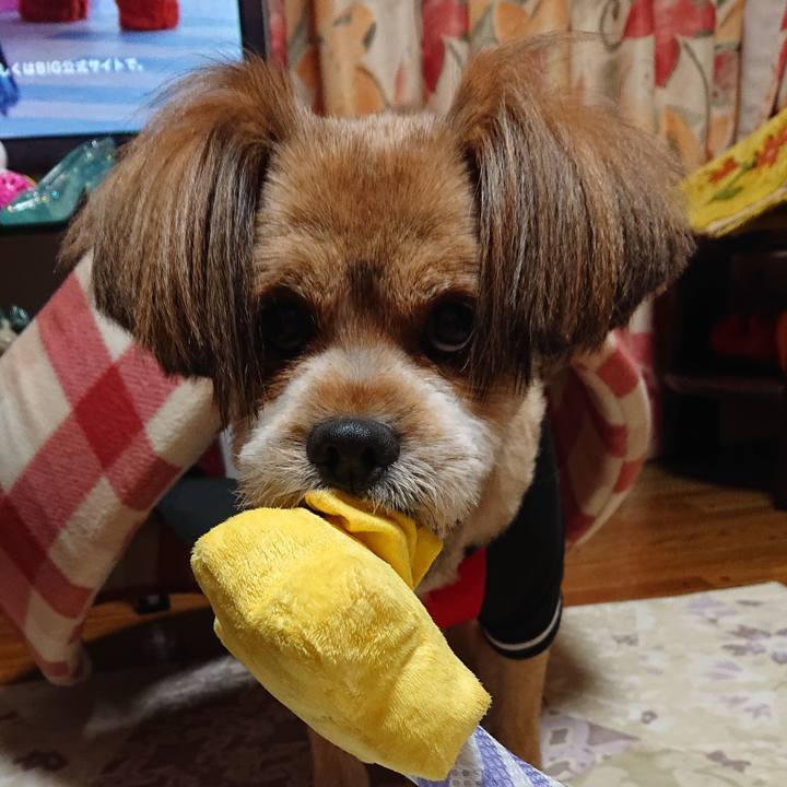 953b114f ff54 4642 92ad 2965998e705a 1573041622173