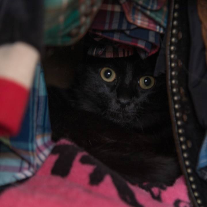 953b1bf7 2918 455e 8f14 17546a61da42 1603513569724