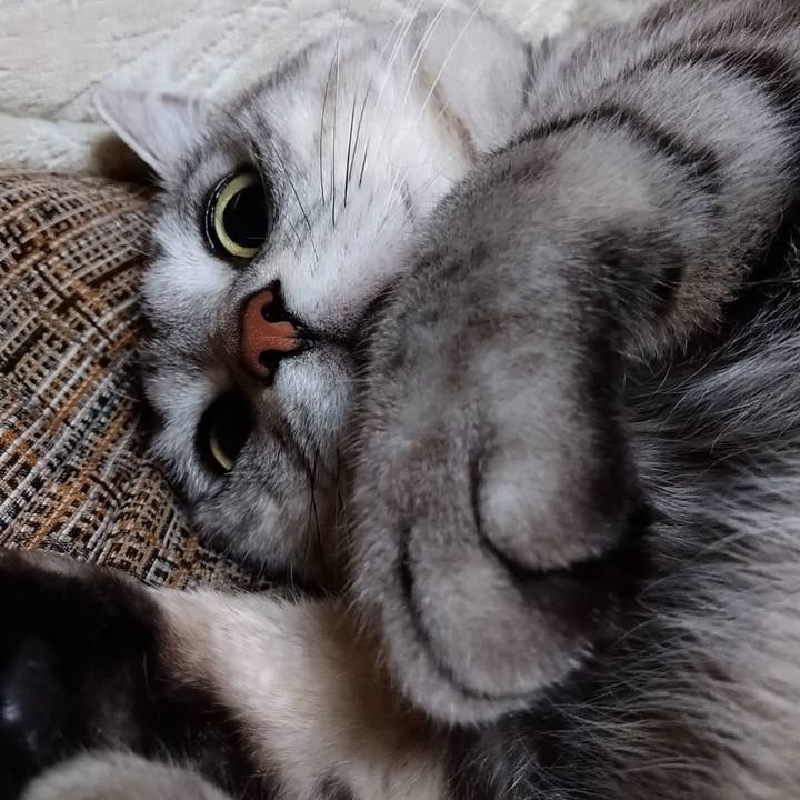 953b3021 c47c 4a60 b37c c0eb9fc5a522 1585996276302