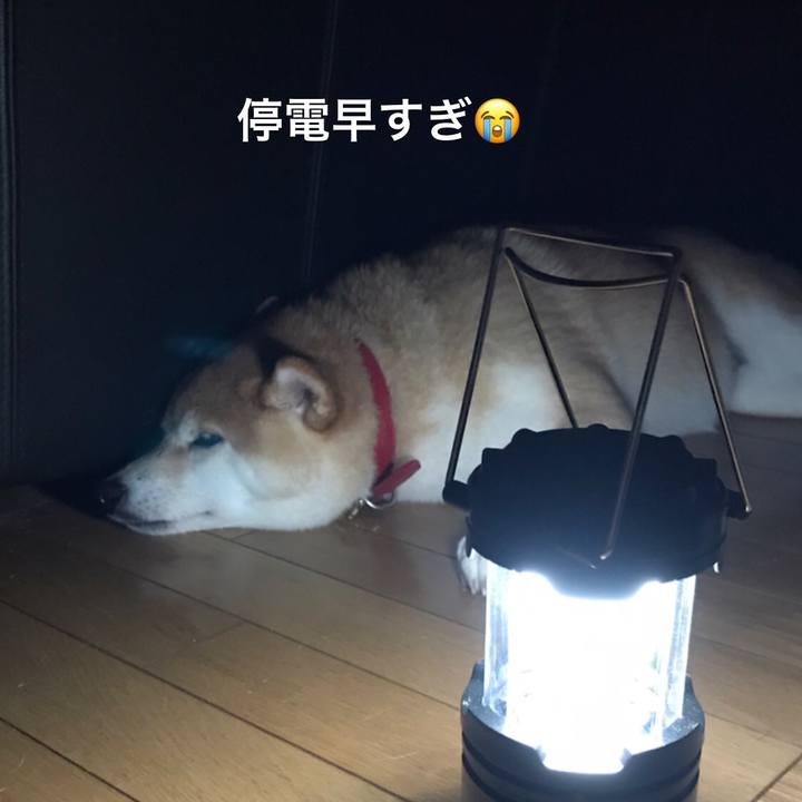 953b30ee 037f 4a7b 9b45 b231ded58e6a 1570836043792