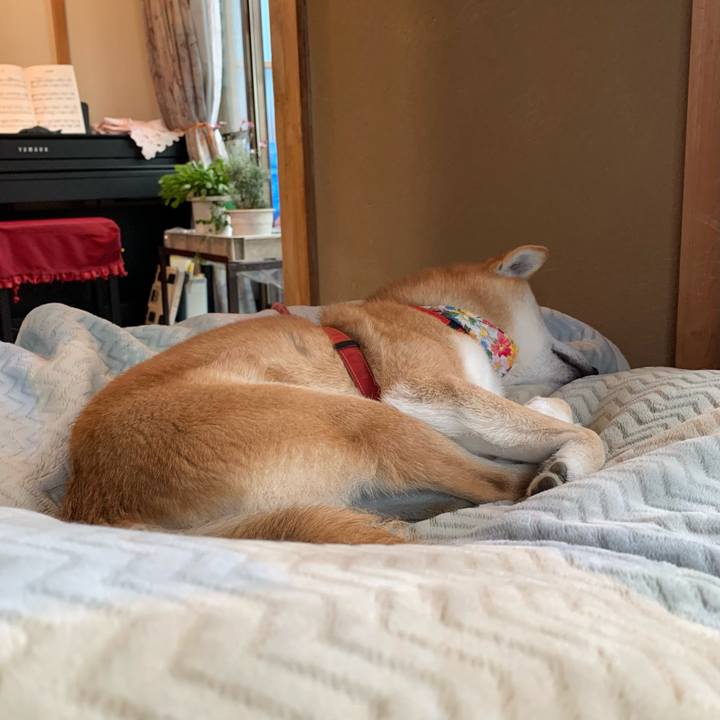 953b3242 94e7 4a03 8e49 7a138be70166 1615983236982